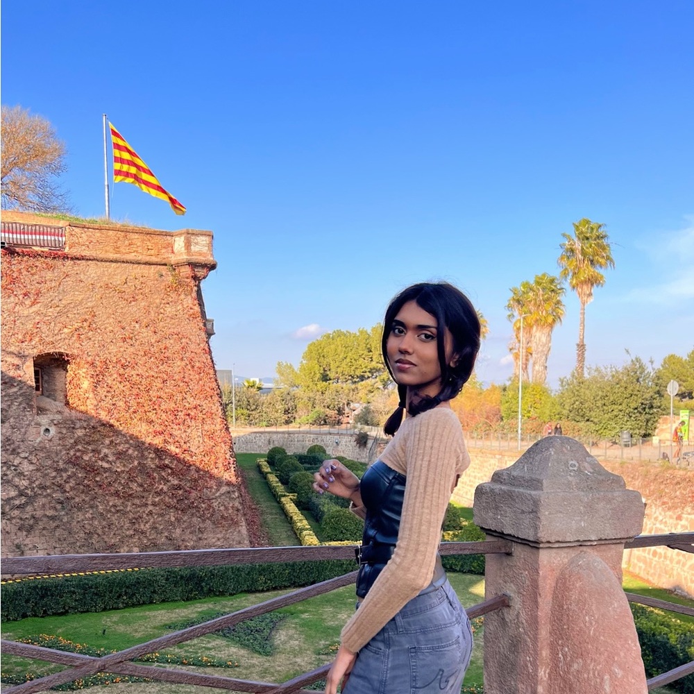 Meet your Posher, Viv